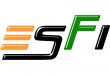 Esports Federation of India